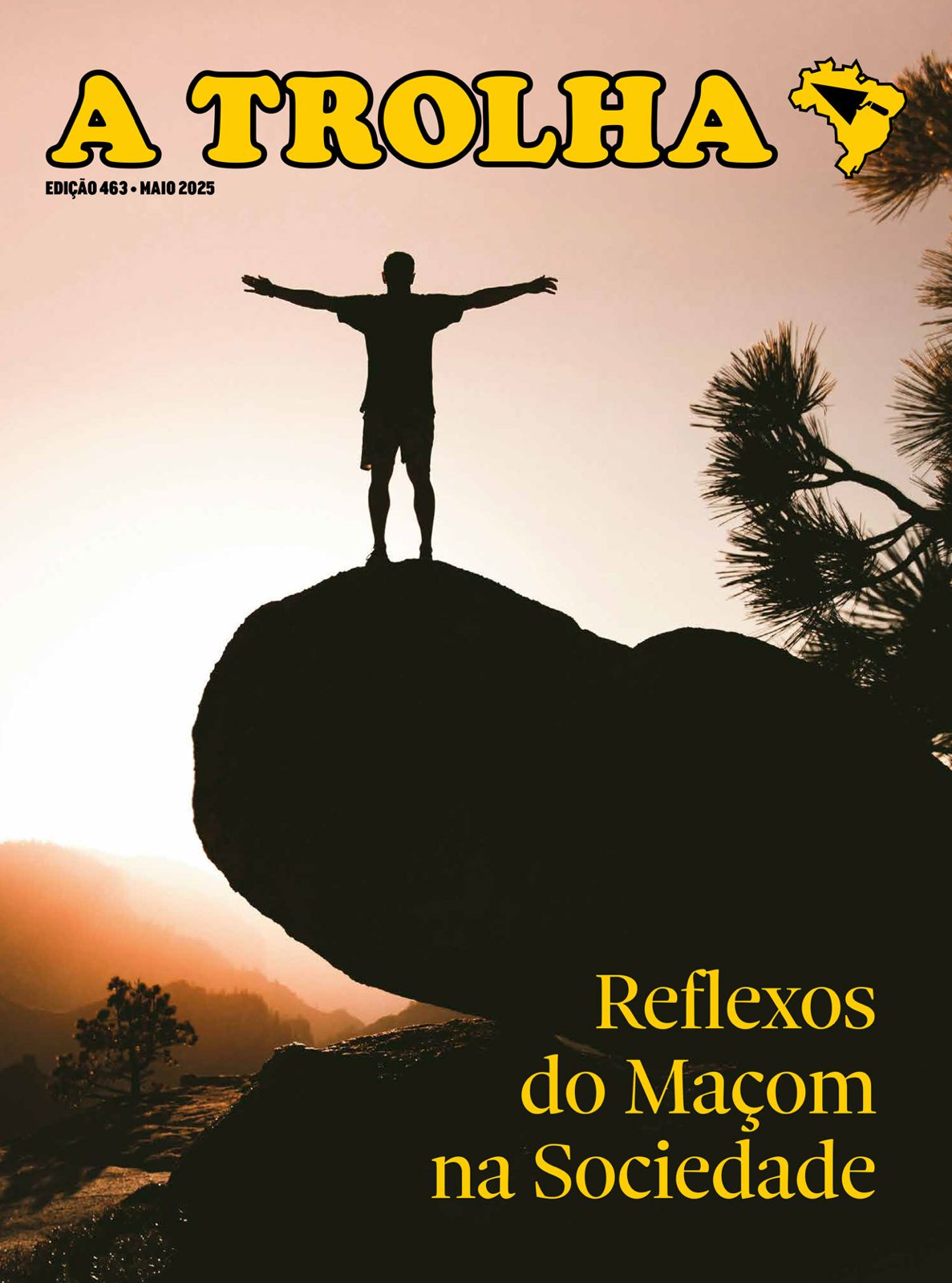 Revista A Trolha Edição 463